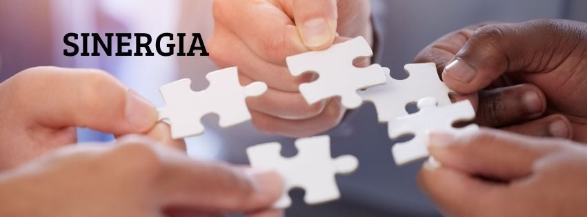 SINERGIA